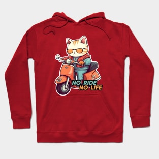 Kawaii cat riding scooter Hoodie